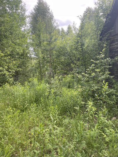 Участок 10 сот. (СНТ, ДНП)