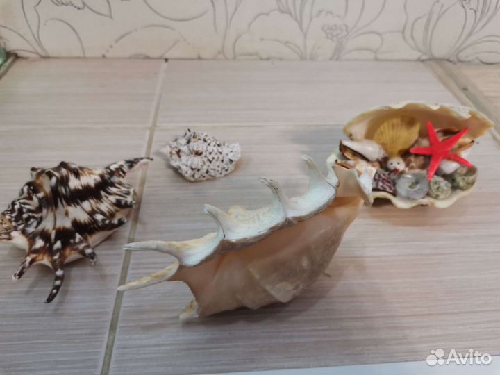 Продам для аквариума украшения