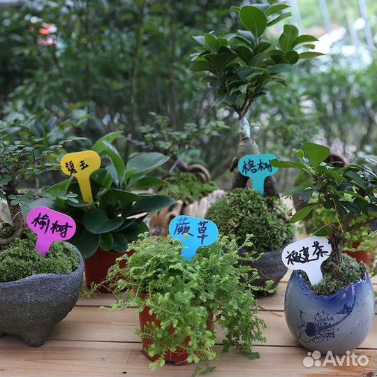 Таблички для рассады, для огорода, для растений