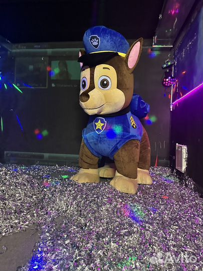 Аниматоры-Ростовые куклы