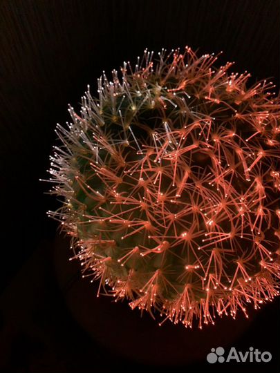 Светильник