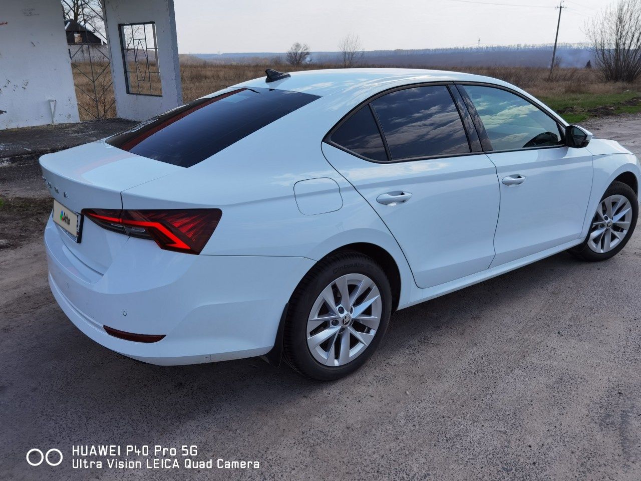 Skoda Octavia: фото владельца