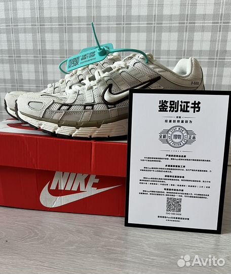 Кроссовки nike p6000