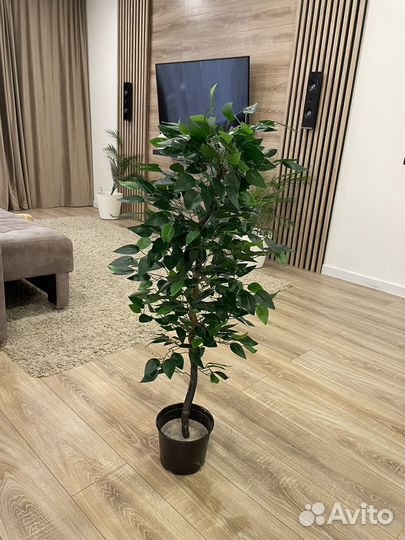 Искусственное дерево, зелень, цветы