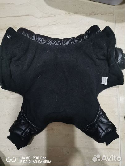 Одежда для маленьких собак