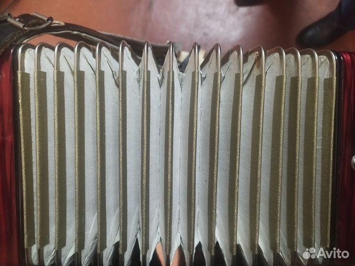 Аккордеон Barcarole