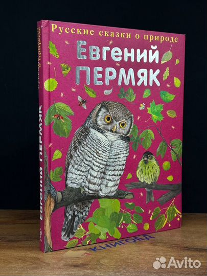 Чижик-Пыжик