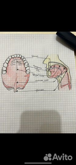 Перепишу лекции