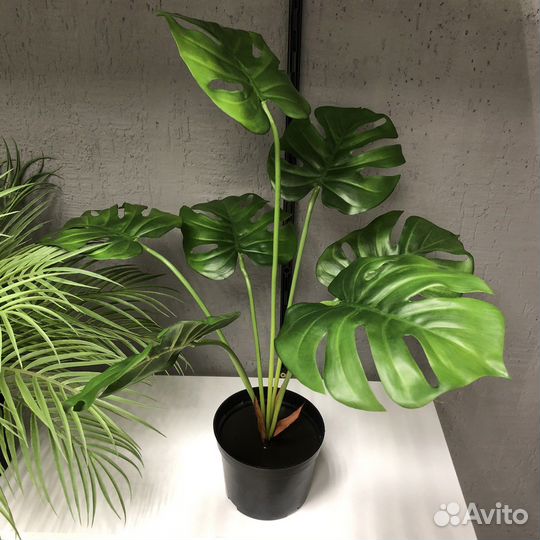 Искусственные растения