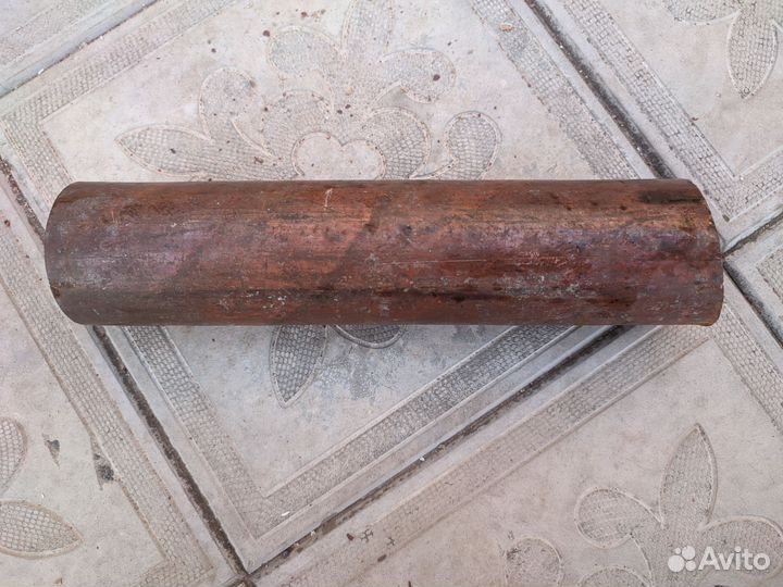 Кругляк медный