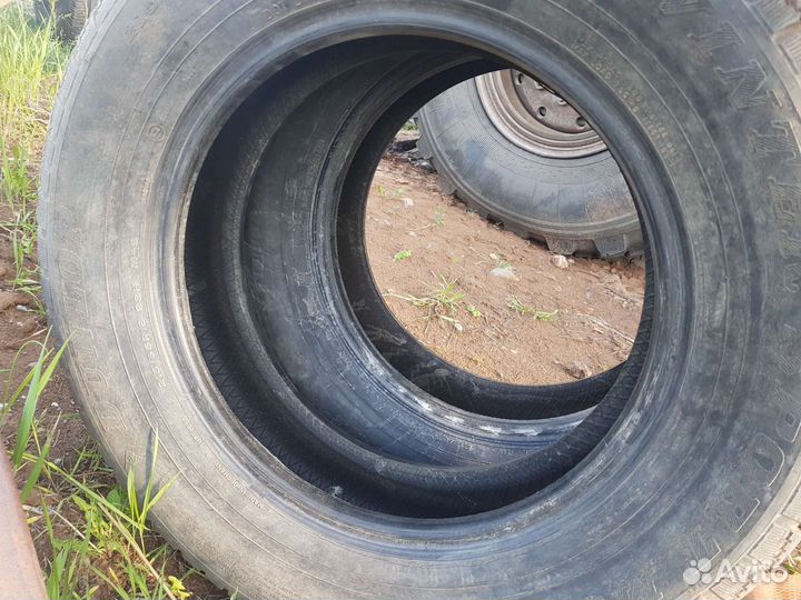 Dunlop Winter Maxx 215/65 R16 98