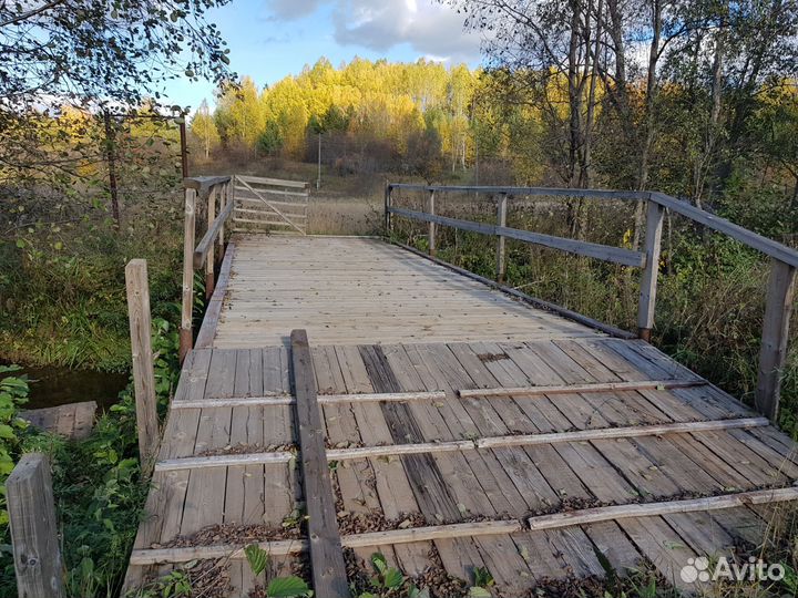 Ищю инвестора агробизнес