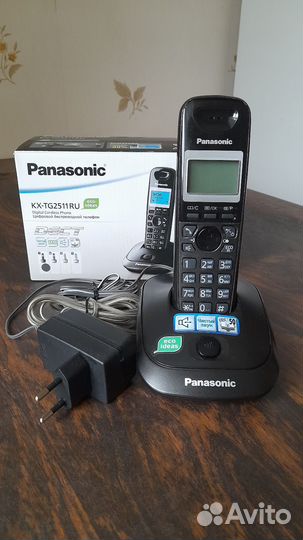 Panasonic