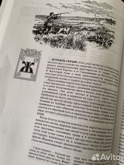 Книга Русская охота Сабанеев