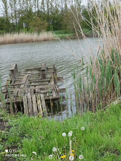 Участок 10,5 сот. (ИЖС)