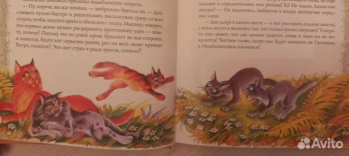 Книги коты воители