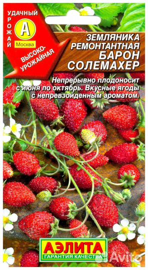 Рассада:земляника, петунии,сельдерей и др