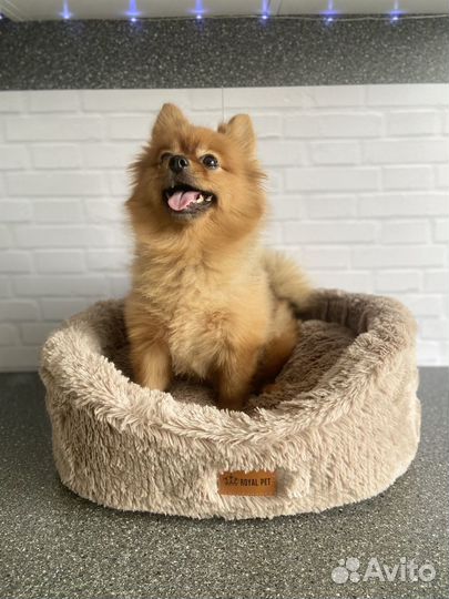 Лежанка домик для животных