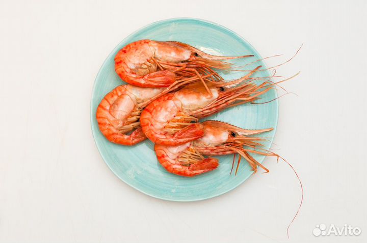 Креветка Ботан