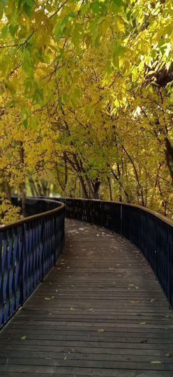 Квартира-студия, 30 м², 15/19 эт.