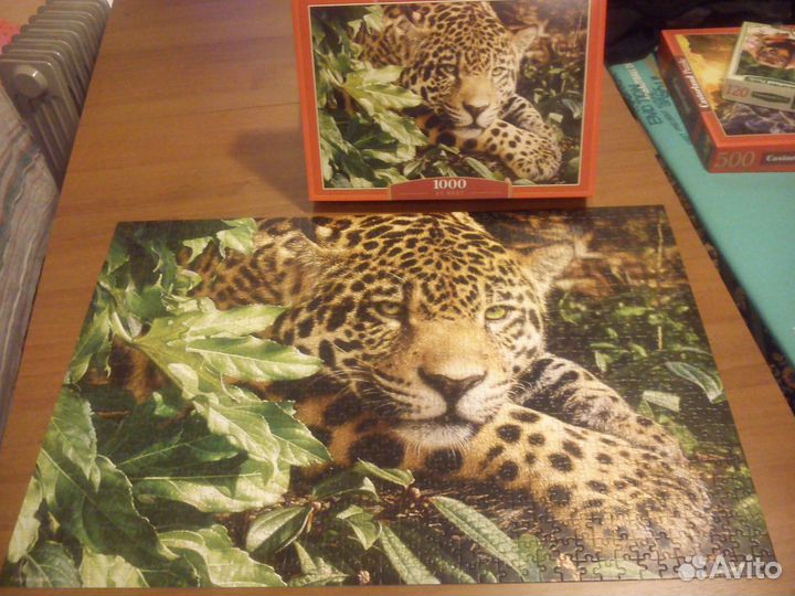 Пазлы 1000