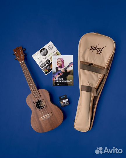 Укулеле flight