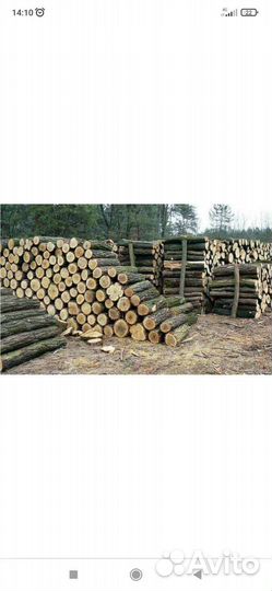 Дрова дубовые