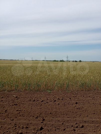 Участок 9,2 га (СНТ, ДНП)