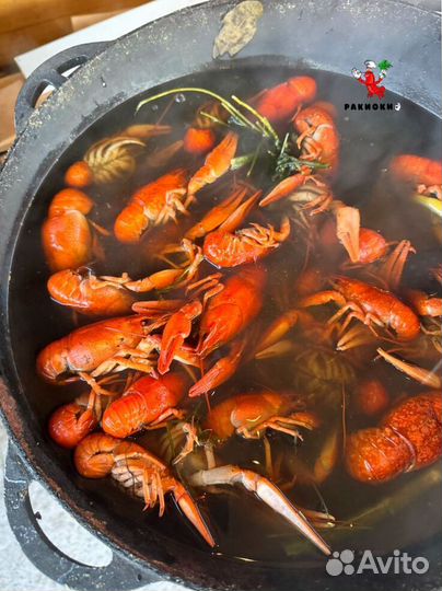 Раки вареные и живые