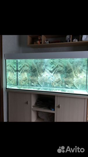 Аквариум
