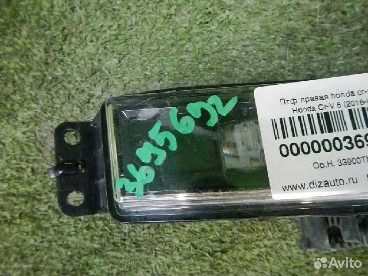 Фара противотуманная правая/дхо Honda CR-V