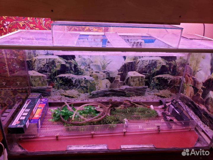 Аквариум 200 литров