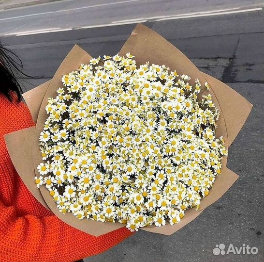Цветы ромашки. Букеты ромашек. Цветы доставка
