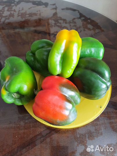 Домашние куриные яйца