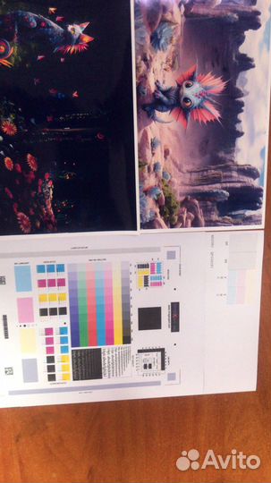 Принтеры epson,много моделей