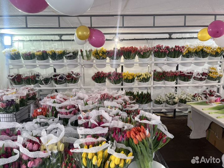 Тюльпаны. ТЦ Красноярье