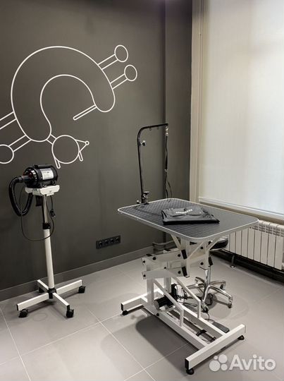 Груминг салон barberdog