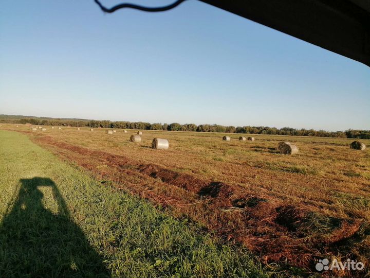 Сено в тюках