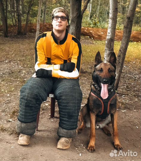 Инструктор-кинолог (Дрессировка собак)