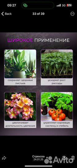 Фитолампа на штативе полный спектр