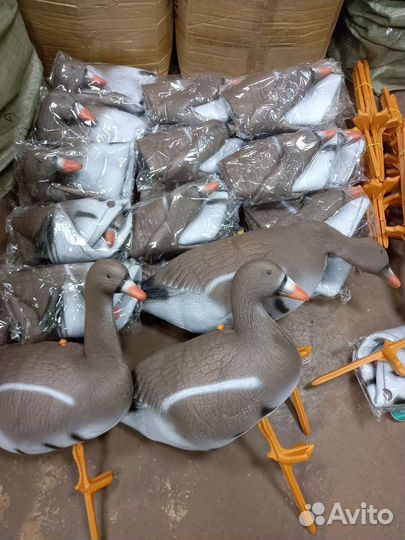 Чучела гуся (30 шт) с Авито Доставкой