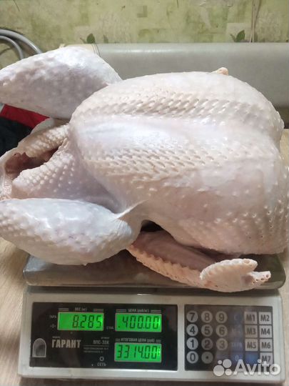 Мясо индейки бройлерной