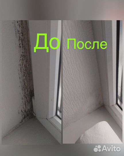 Жидкость против плесени