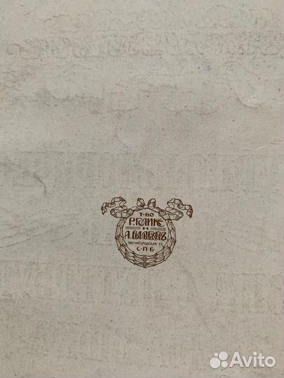 Очерк Невский Проспект