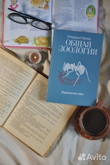 Хадорн Э., Венер Р. Общая зоология 1989 год