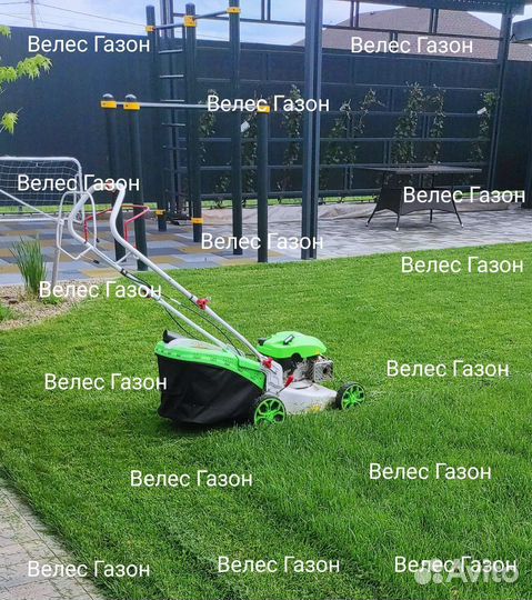 Покос травы Газон Обработка от сорняков