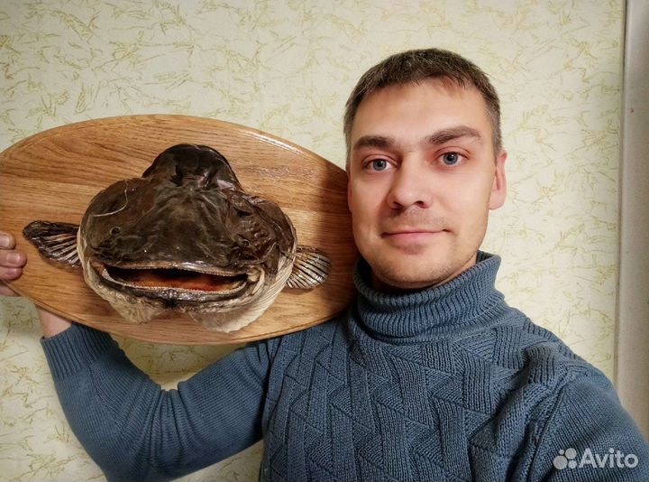 Чучело-таксидермия-остеология