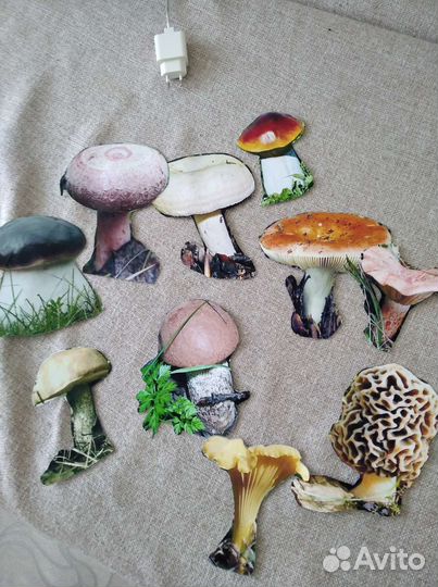 Дидактический материал