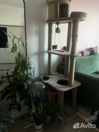 Когтеточка домик для кошки бу