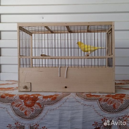 Гибриды и кенор